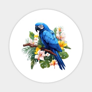 Hyacinth Macaw Magnet